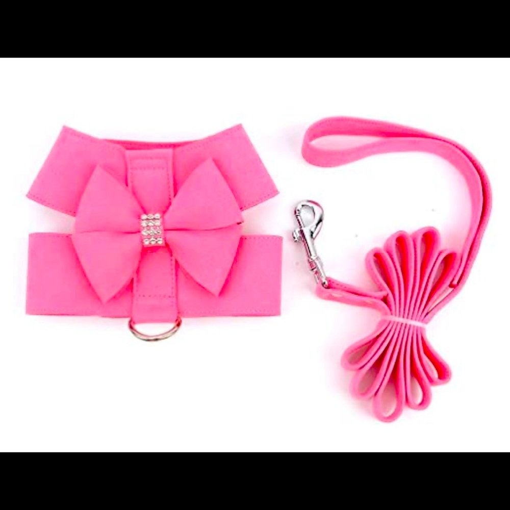 Dog harness and leash